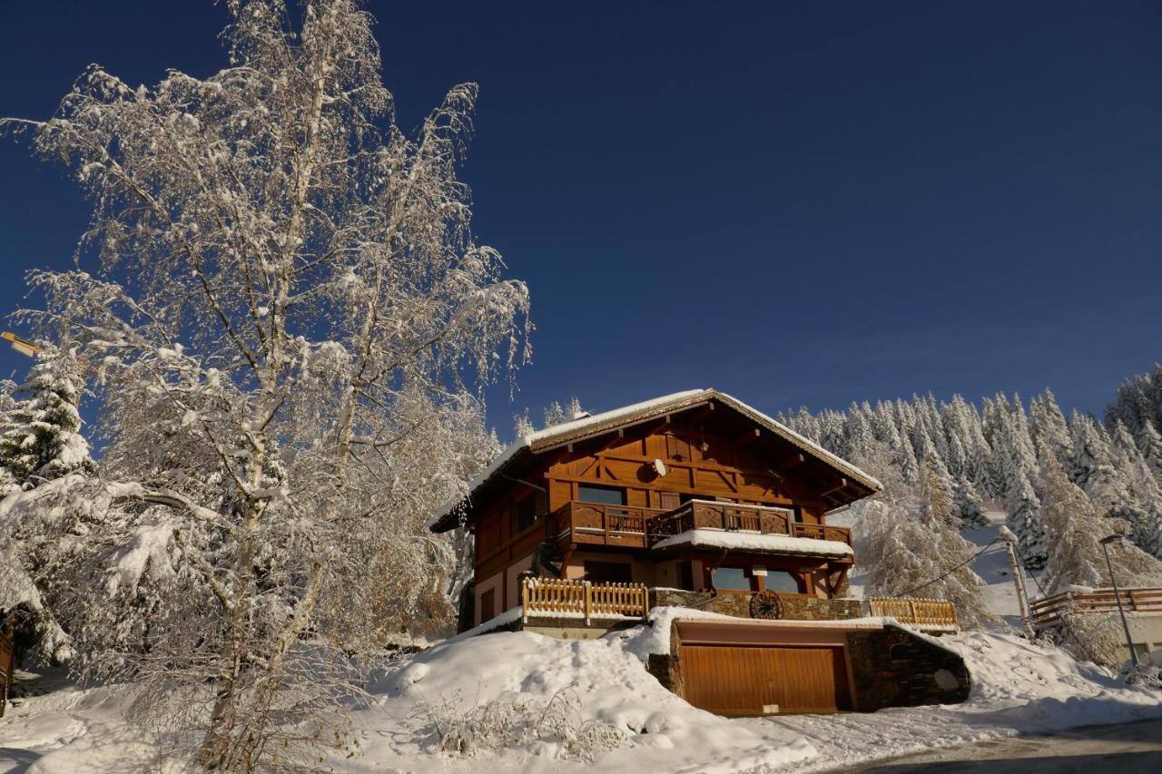 Les Saisies Cote Bisanne Appartement Dans Chalet Le Nepal Exterior photo